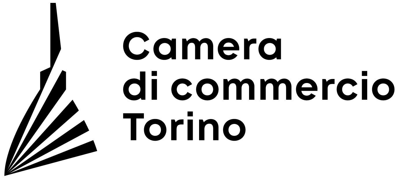 cciaa torino